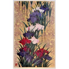 Kazutoshi Sugiura-Iris No. 141